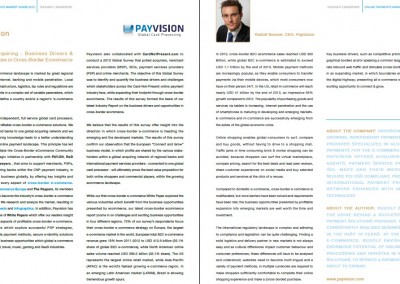 Interview Brand Positioning Payvision in Online Payments Guide