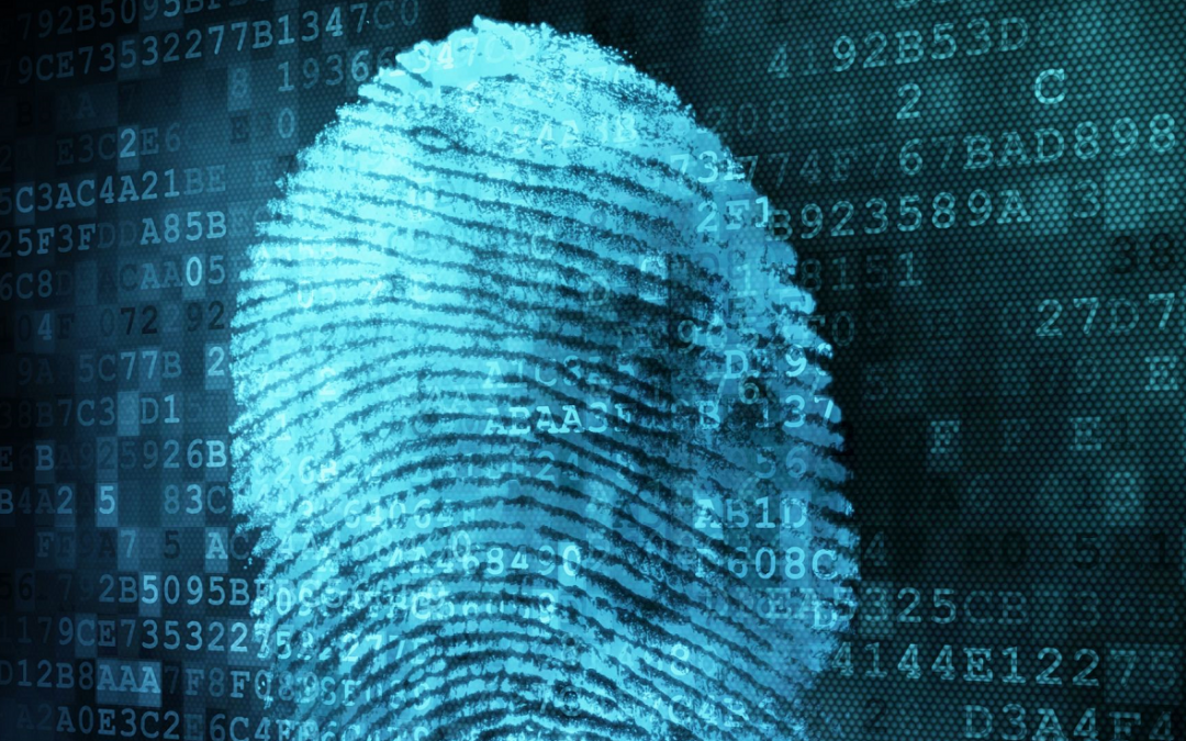 Biometrics, Fintech Buzzword or next Holy Grail?